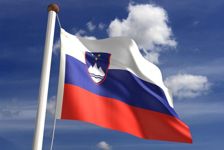 Pickleball zveza Slovenije slovenia flag